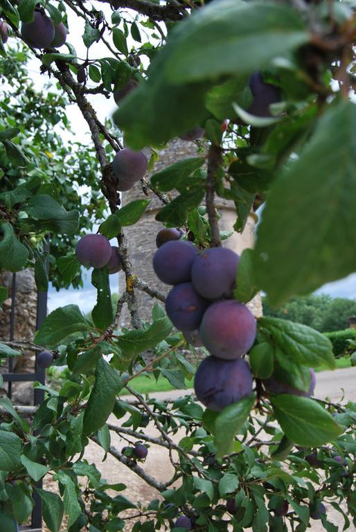 Mas De Garrigue Bed and Breakfast Calvignac Eksteriør billede